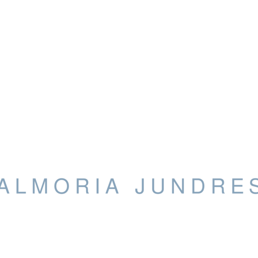 Логотип Valmoria Jundrest